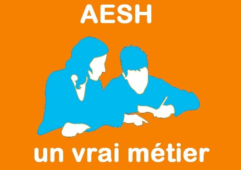 Lire la suite à propos de l’article AESH : le SGEN reçu en audience par le ministère