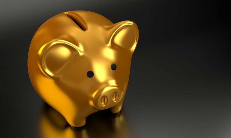 Lire la suite à propos de l’article Voici un rapide bilan des différentes promotions passées. Si vous voulez en savoir plus, contactez-nous !