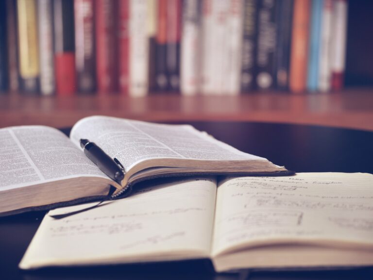 Lire la suite à propos de l’article PAS (Pôle d’Appui à la Scolarité) : la généralisation retoquée !